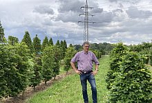 Friedhelm T&uuml;rich vom Bund deutscher Baumschulen r&auml;t angesichts des Klimawandels dazu, B&auml;ume zu pflanzen, die es in den verschiedensten Formen und Gr&ouml;&szlig;en gibt. - Cordula Gr&ouml;ne