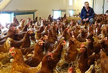 huhn_s2 - Axel B&uuml;rger