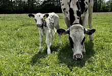 bild-2 - Gut Wilhelmsdorf