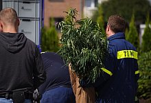 dsc09160 - Freitag TV