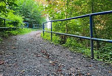 20240905_090046 - Marianne Schwarzer