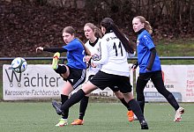 a44i7668 - paul cohen