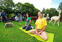 SL Gesundheitstag - Nicole Ellerbrake