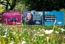 Wahlplakate zur Europawahl - Daniel Bockwoldt/dpa