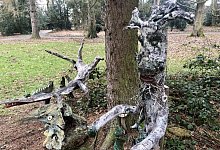 Kurpark - Sven Kienscherf