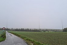 Homeien - Archivfoto: Nadine Uphoff