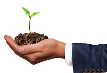 klimaschutz_pixaby - Pixabay