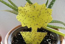 img_20230323_161405 - privat