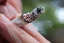 Cannabis - Karl-Josef Hildenbrand/dpa