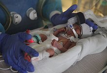 img_6922 - Archivfotos: Bernhard Preuss