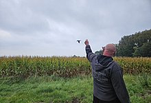 sa_freiflug - Alexandra Stratmeier