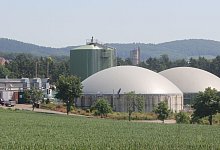 img_2933 - Klaus Frensing