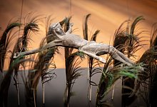 Ausstellung "Stattgalerie präsentiert "mittendrin" - Schau mit 100 Künstlern aus OWL - Mike-Dennis Müller / www.mdm.photo