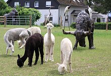 Hof Wilmsmeier - Sandra Castrup