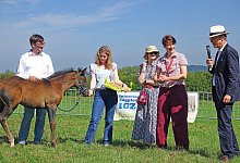 fohlen - LWL/Robin J&auml;hne