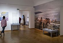 spannende-zeitreise-in-die-steinzeit - Lippisches Landesmuseum Detmold