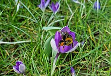 20230316_121619 - Carolin Brokmann-Förster