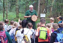 kap-oh-waldjugendspiele - Karin Prignitz