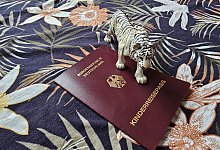 Kinderreisepass - Freya Köhring