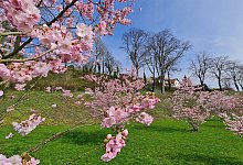 20240319_125936 - Marianne Schwarzer