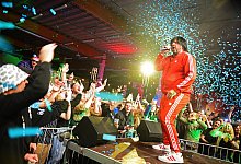 ikke-huftgold - Nicole Ellerbrake