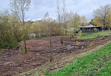 20221117_092154 - Marianne Schwarzer