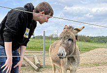 Kastanienhof - Philipp Kersten