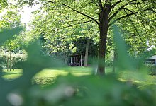 Gorki-Park - Janet K&ouml;nig