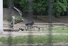 p1350270 - Jost Wolf