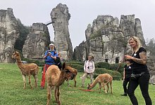 img_8254 - Silke Buhrmester