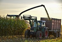 2023-mais-hackseln-jahresruckblick-florian-pottkamp - WLV