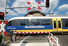 sk-sh-sennebahn - Sabine Kubendorff