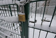 p1360301 - Jost Wolf