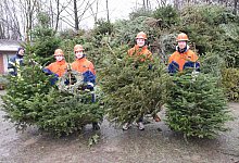 kap-oh-tannenbaum-sammelaktion-9 - Karin Prignitz