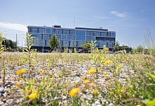 campus_handwerk_001 - Oliver Krato