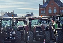 bauernprotest-2-8012024-dt - Aktionsb&uuml;ndnis: Sch&uuml;tzt Menschen und Tiere im Detmolder Westen