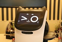 Layla hat ein freundliches Wesen und zwinkert den Menschen um sie herum gauch mal zu. - Henning Wandel