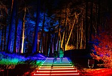 Fotos vom Waldleuchten 2019 - BESIM MAZHIQI