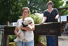 dsc_0732 - Sara Mattana