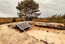 img_1951-1024x576 - Initiative Schlangen 4.0