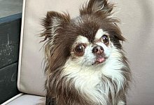 whatsapp-image-2023-10-04-at-121117 - privat