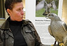 LE Lebendige Greifv&ouml;gel im Weserrenaissance-Museum Schloss Brake - Hajo G&auml;rtner