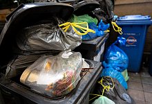 M&uuml;lltonnen - Sven Hoppe/dpa