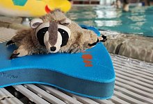 img-20230306-wa0004 - Britta Kuhlemann