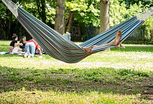 Sabbatical - picture alliance/dpa