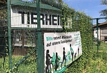 tierheim - 1 - Sven Kienscherf