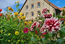 Der drittschönste Garten in ganz NRW ist in Langenholzhausen - Nadine Uphoff