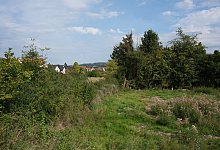 dscf87821 - Sven Koch