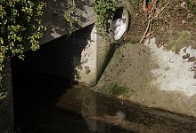 IMG_7434 - Dieter Scholz