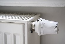 Heizungsgesetz - Hannes P Albert